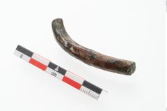 Foto von Bronzehohlblecharmring (NHMW-PRAE-048333)